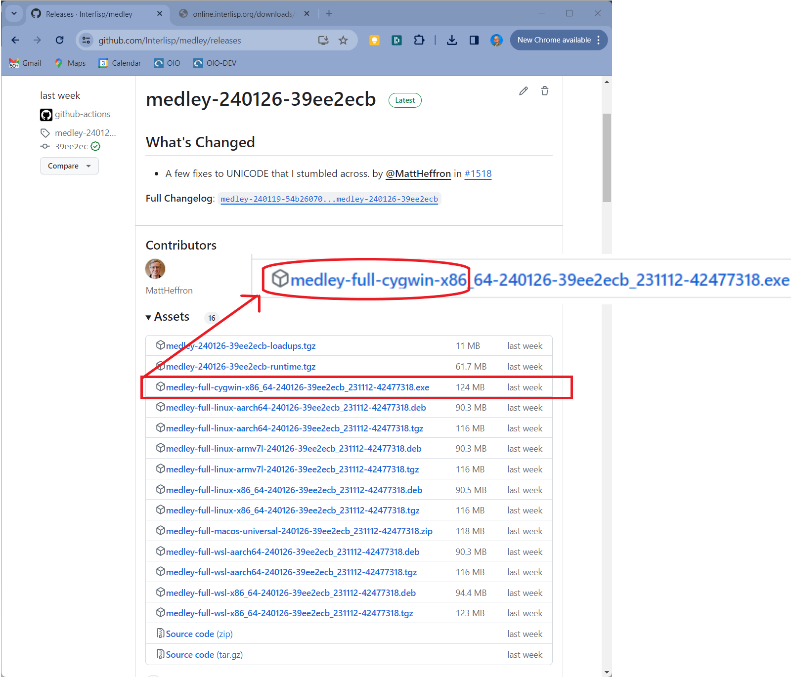 Github Releases Page Assets